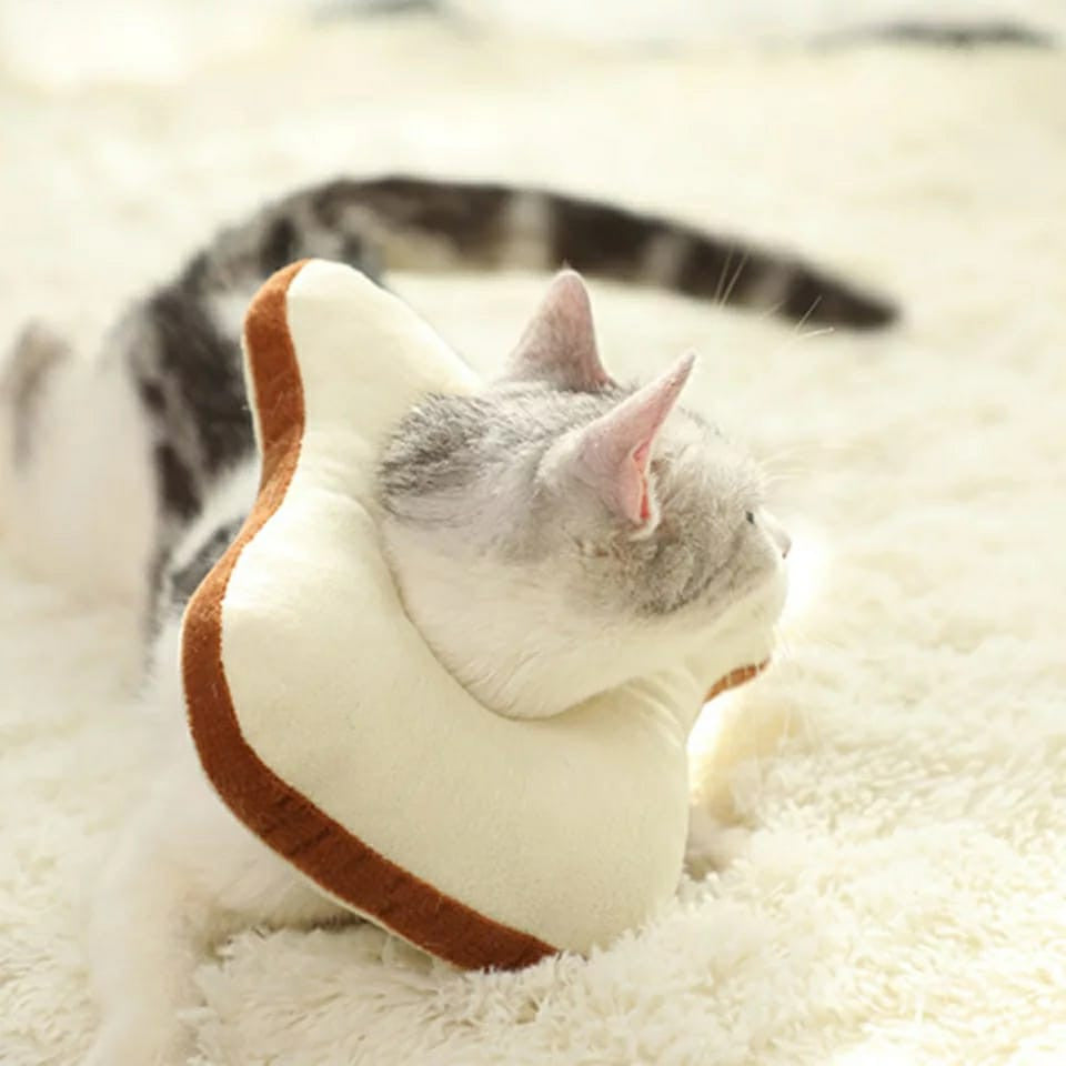 Collar Isabelino En Forma De Tostada.