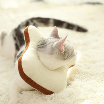 Collar Isabelino En Forma De Tostada.